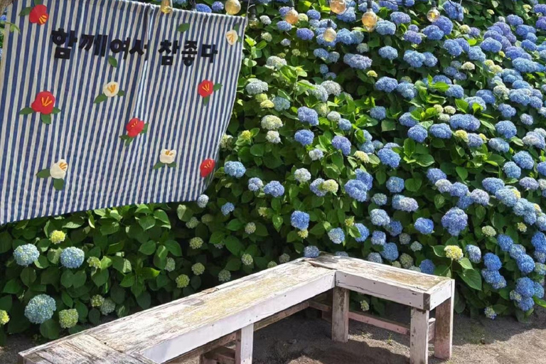 Jeju: Camellia Hill Admission & Seasonal Photo Guide