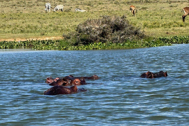 Nairobi:Lake Naivasha, Hell’s Gate & Crescent Island Tour