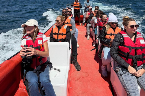 Papudo: Horseback Riding, Penguin Watching, and Sailing