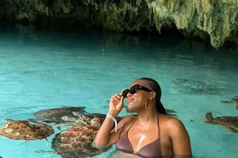 Zanzibar: delfini a Mnemba, acquario delle tartarughe e crociera al tramontoNessun trasferimento: tour con tutti i biglietti d'ingresso inclusi