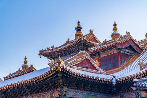 Lama Temple One Day Tour with Chinese Cultural Immersion