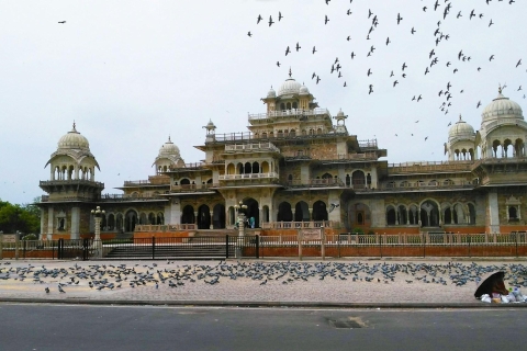 Desde Delhi: Visita Privada a la Ciudad de Jaipur en CocheConductor + Coche Privado + Guía