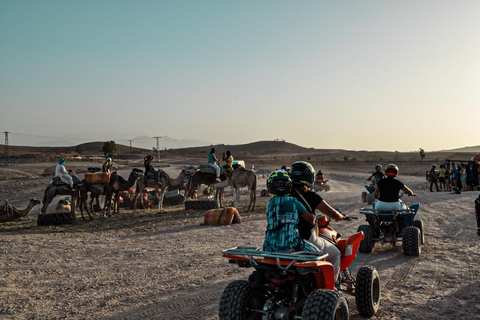 Marrakech: Agafay Wüsten-Quad &amp; Kamelritt mit Dinner-Show