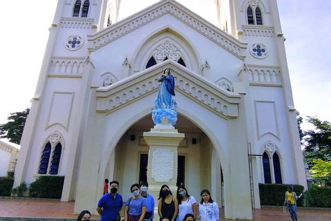 Visita a la ciudad de Puerto Princesa con aperitivos