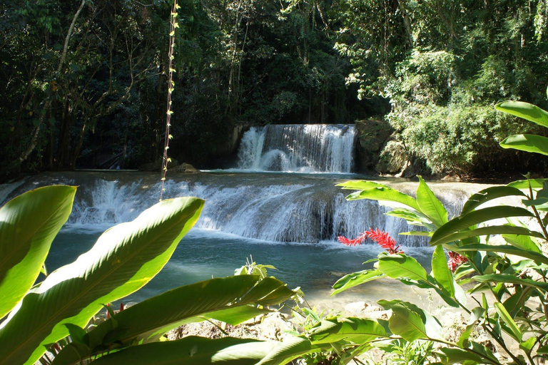 Jamaïque : Visite privée des chutes de Dunn&#039;s River avec déjeuner JerkOchi Rios, visite des chutes de Dunn&#039;s River en famille avec déjeuner de Jerk