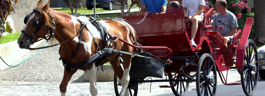 Promenade en calèche à Porto Santo