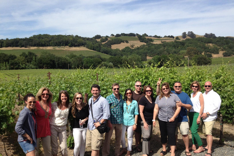 Sonoma Valley: Guided Winery Tour with Picnic Lunch
