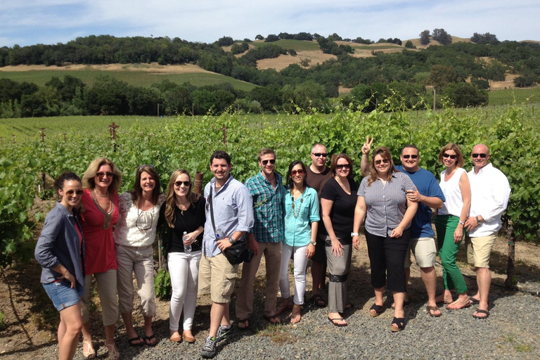 Sonoma Valley: Guided Winery Tour with Picnic Lunch