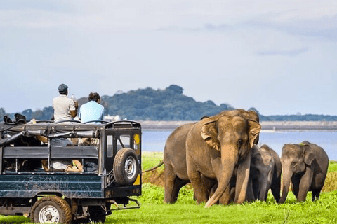 Jeepsafari till Udawalawa nationalpark från Colombo