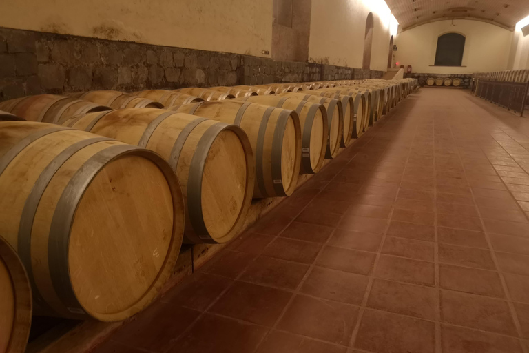 Concha y Toro Extended Tour with 7 Tastings and Lapis Lazuli