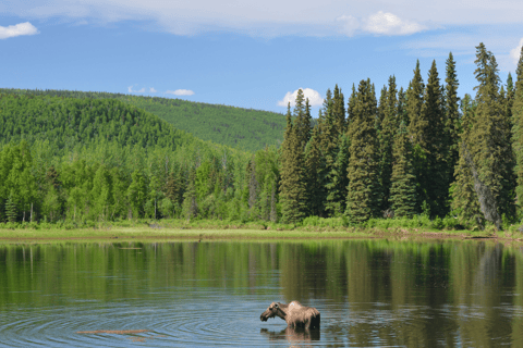 Fairbanks: tour dell&#039;aurora boreale di 6 giorni