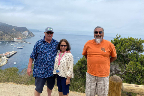 Catalina Island: privérondleiding met golfkar door AvalonAvalon: privérondleiding per golfkar