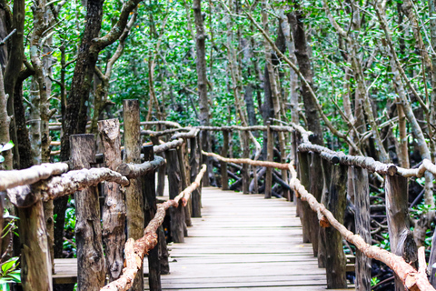 Zanzibar: Jozani Park Tour With Red Colobus Monkeys Stone Town Pickup + Entry Fees