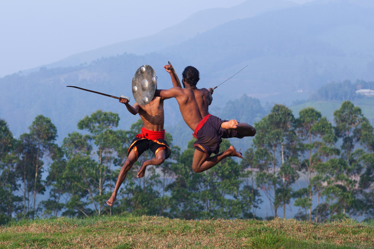 Munnar: 3-dniowa wycieczka z Muzeum Herbaty i Echo Point