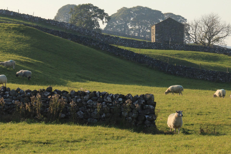 York: &quot;Alla stora och små varelser &quot;Alla stora och små varelser&quot; Yorkshire Dales TourHela dagen: Alla stora och små varelser Tour