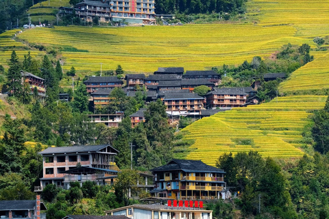 From Guilin: Longji Rice Terraces & Yao Village Day Trip Private Tour (English Driver-Guide)
