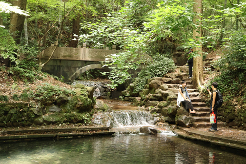 Hangzhou Half-Day: Pagoda, Bamboo Grove, and Old Street Tour