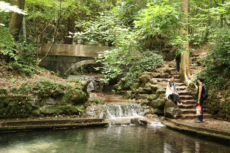 Hangzhou Half-Day: Pagoda, Bamboo Grove, and Old Street Tour