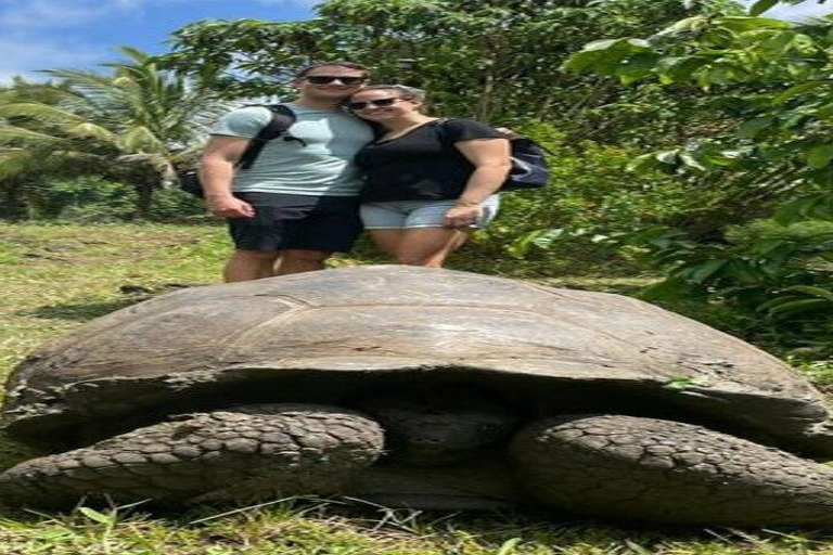 Santa Cruz: Giant Tortoise Watching and Lava Tunnels Tour