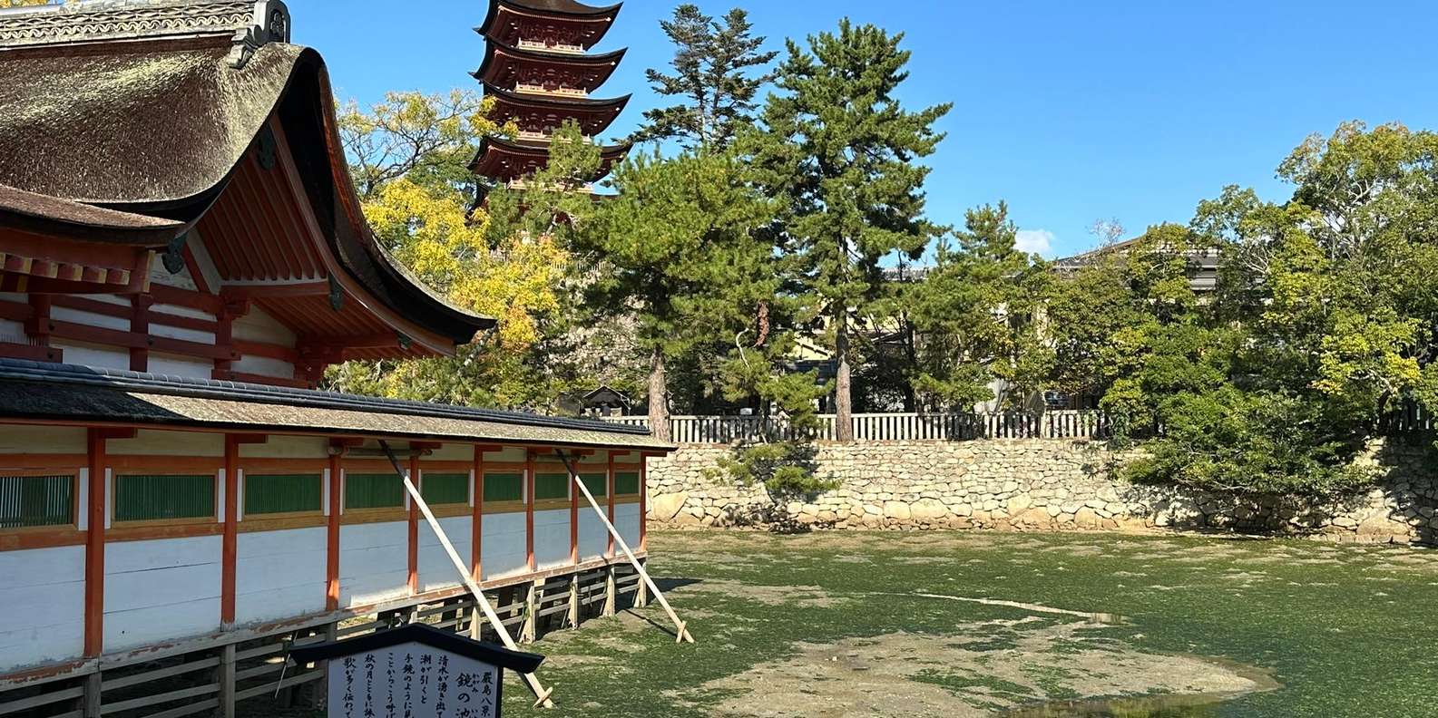 Hiroshima Miyajima tour — Peace Memorial and Miyajima Island — image 62