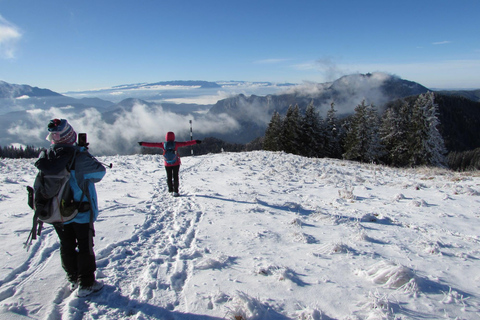 1 day hike to the Piatra Mare massif