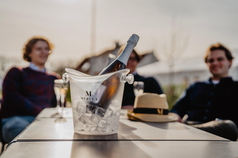 Boat trip & wine tour in Bruges