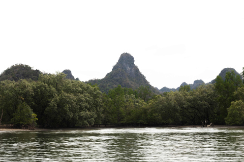 Langkawi: Kilim Geoforest Park Mangrove Boat Tour - 3 Hour