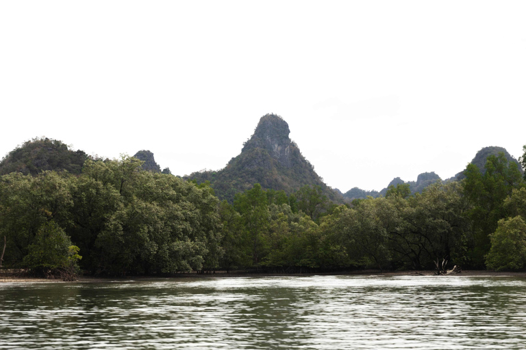 Langkawi: Kilim Geoforest Park Mangrove Boat Tour - 3 Hour