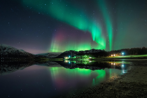 Harstad: Nordlichterjagd auf der Insel Hinnøya
