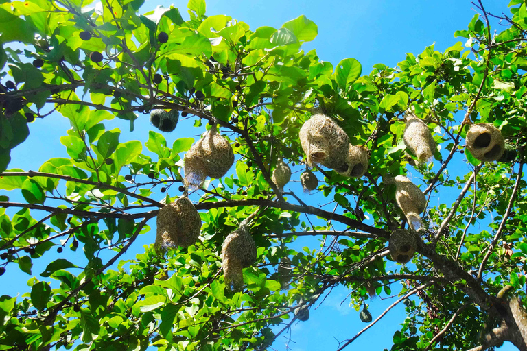 Chiang Mai: 25 km di tempo libero in mountain bike e kayak nella giunglaDa Chiang Mai: tour in bici e kayak