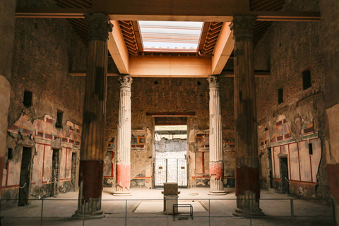 Pompeii: Private Guided Tour with Pick-up Private Tour in French from Positano