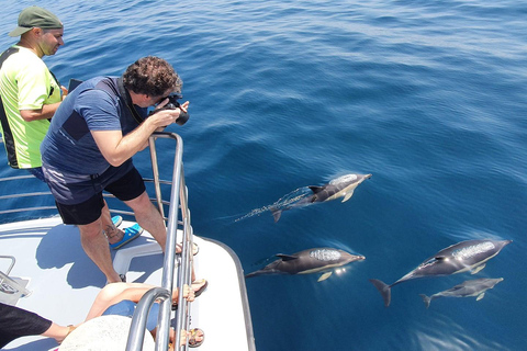 من لاغوس: رحلة بحرية على متن طوف لمشاهدة الدلافين