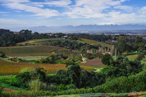 Botanische tuin Kirstenbosch en Constantia Wijnvallei