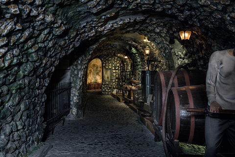 Santorini Visit Cave Wine museum and Wine tasting