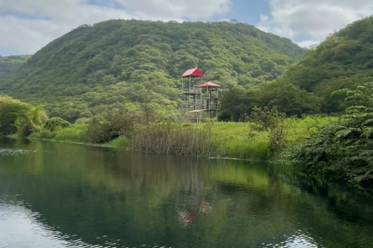 Salalah Bird Watching: Darbat, Rori & Awqad