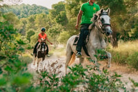 Mallorca, Mountain Horse Riding Experience met brunchoptie - Housity