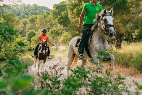 Mallorca: Mountain Horse Riding Experience met brunchoptiePaardrijtocht van 1 uur met brunch en ophalen