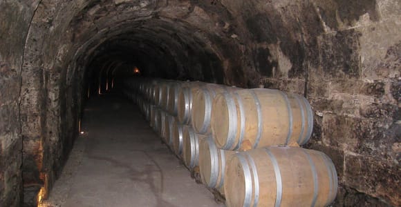 Ab Madrid: Ribera del Duero Tour zu 3 Weingütern mit Verkostungen