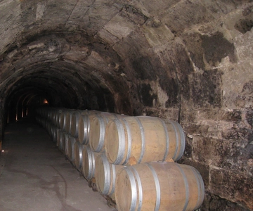From Madrid: Ribera del Duero Tour of 3 Different Wineries