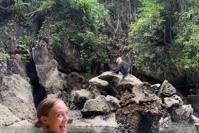 From Hanoi: Lan Ha Bay | Kayaking, Sightseeing, Cruise Trip From Hanoi: Lan Ha Bay | Kayaking, Sightseeing, Cruise Trip