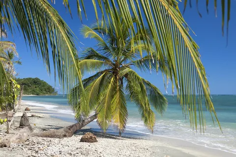 Da Manzanillo: Snorkeling a Cahuita ed escursione nella foresta pluviale
