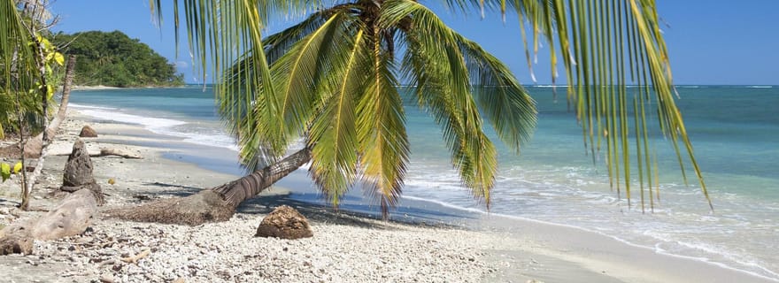 Au départ de Manzanillo : plongée en apnée à Cahuita et randonnée dans la forêt tropicale
