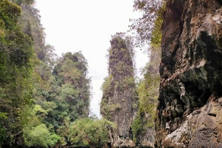 Krabi: Ao Thalane Mangrove Kayaking Tour with Pickup Half Day Kayak - Morning Session