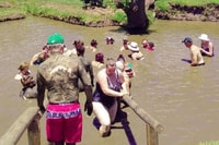 纳迪，花园村温泉和寺庙亮点之旅 - Housity