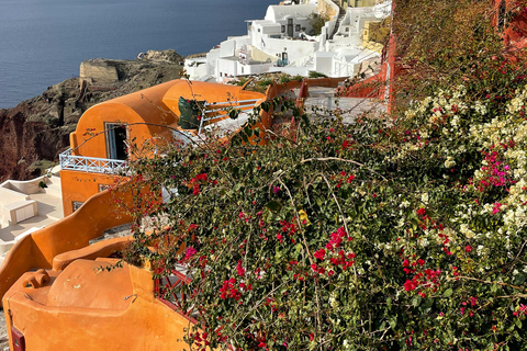 Santorini semi-private land tour for cruise guests Santorini semi-private land tour experience