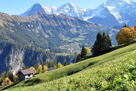 From Interlaken: Swiss Alps and Hidden Gems Private Day Tour