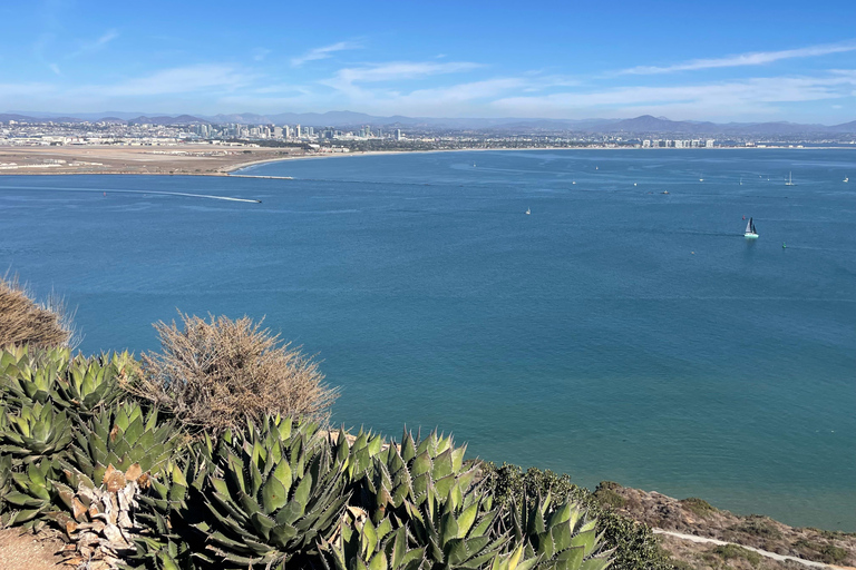 Visite privée de 5 heures de San Diego à bord d&#039;une Lexus ES300H