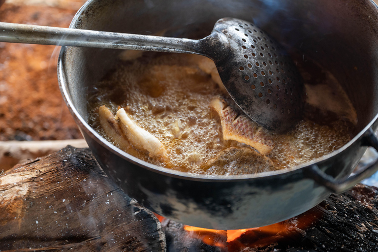 Panama: Private Tour zur Embera-Gemeinde und zum Faultier-SchutzgebietPanama: Private Tour zur Embera-Gemeinde und zum Faultierschutzgebiet