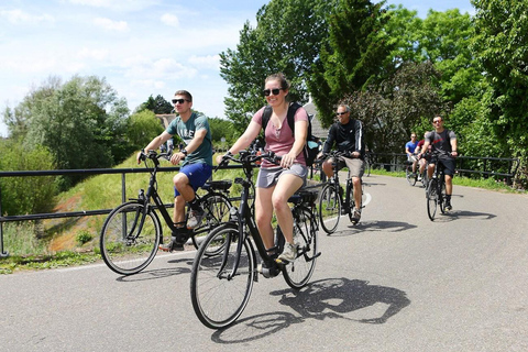 Utrecht: Guided Bike Tour with Gelato and Windmill Visit