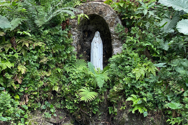 Cartagena: Guided Experience in the Botanical Garden